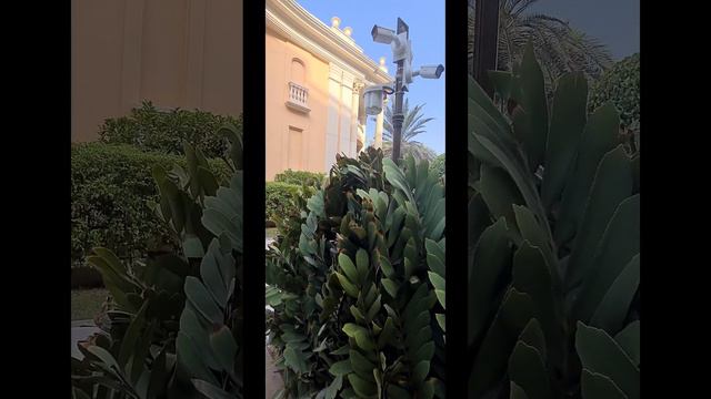 Әдемі, Отель Raffles The Palm Dubai смотреть онлайн