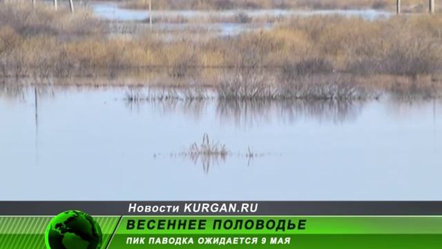 Пик паводка смотреть онлайн