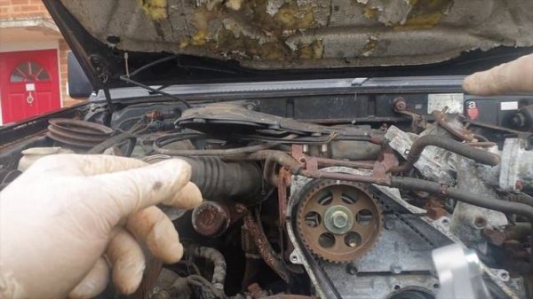 Toyota Land Cruiser LJ70 Timing Belt Kit Replacement