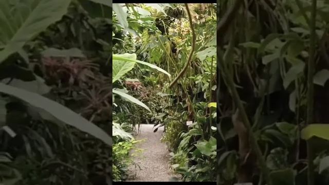 ЭТО бывает только в кино