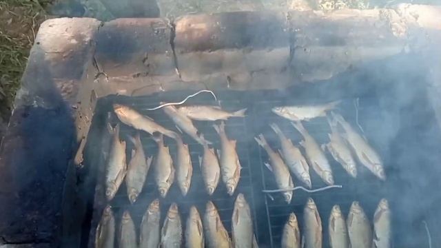 Домовладение