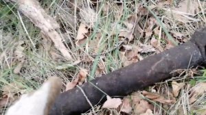 Второй коп рядом с ЛЭП, и снова результат?