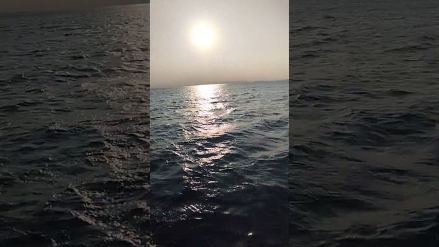 шум моря и звук ветер и солнце #море #погода #ветер #звук смотреть онлайн