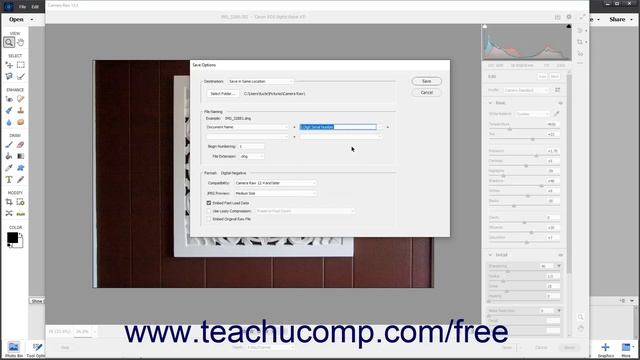 Learn How to Save a Camera Raw File as a DNG File in Adobe Photoshop Elements 2022 Training Tutoria смотреть онлайн