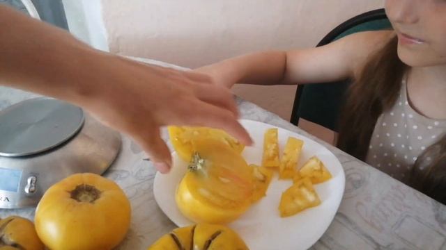 Что выросло из семян фирмы "Партнёр" жёлтые помидоры экзотика, вкуснота или "зря посадили" смотреть онлайн