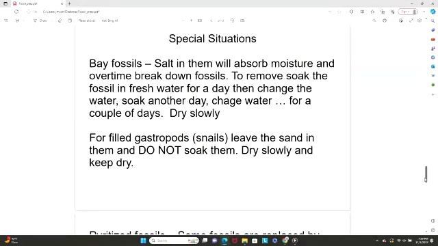 How to Prep Your Fossils смотреть онлайн