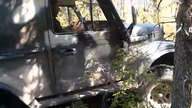 Таежный зверь смотреть онлайн