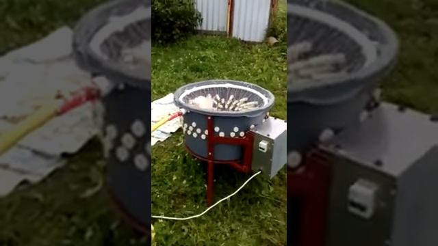 Бильная машина своими руками, ошпаривание и ощипывание пера пример процесса смотреть онлайн