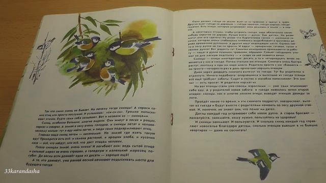 Юрий Дмитриев, Наталья Пожарицкая. В гостях у дятла. смотреть онлайн