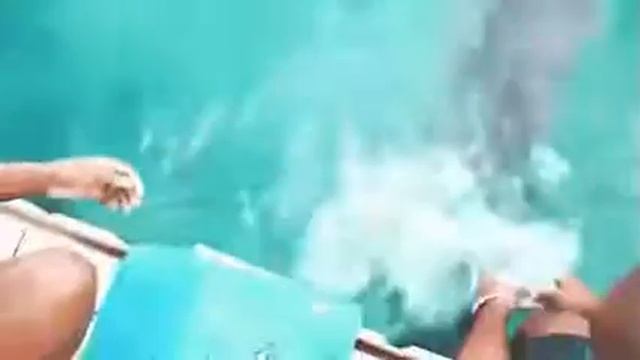 Дельфин спас телефон смотреть онлайн