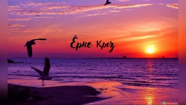 Ерке қыз  R-ONE