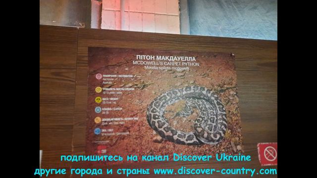 Украина; г. Киев; Часть 3; Остров зверей; Дедушка-горилла; Не спящий днем тигр; Белые зубы каймана смотреть онлайн