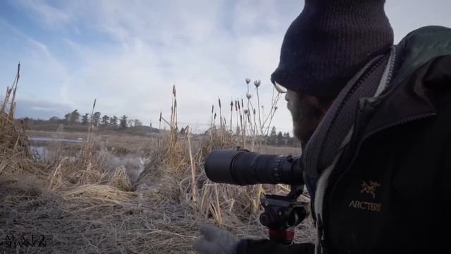BIRD PHOTOGRAPHY | SHARP photos | PRO tips using the BEST camera settings for wildlife | Nikon Z9 смотреть онлайн