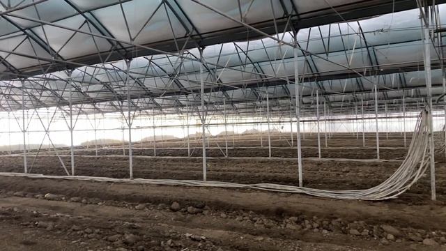 КАК СПАСАЛИ ТЕПЛИЦУ ОТ СНЕГА