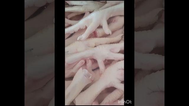 ТехноФантастика