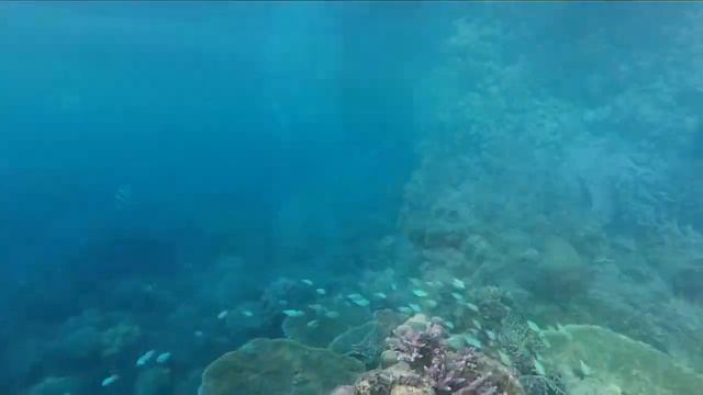 Вокруг Бали. Лучший снорклинг на Бали. Национальный парк смотреть онлайн