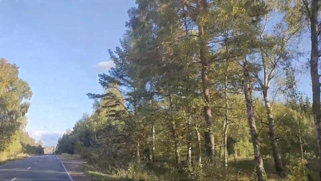 Ищем дом для хаски / We are looking for a home for a husky смотреть онлайн