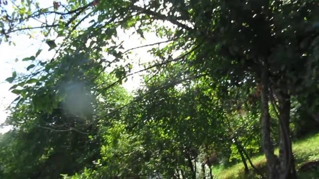 Во сне своём я был с тобой... смотреть онлайн