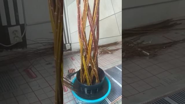 плетёное дерево из ивы смотреть онлайн