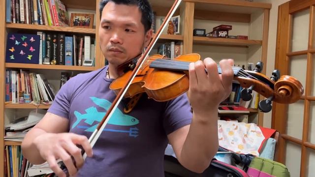 Day 8 - Polishing Minuet by Boccherini смотреть онлайн