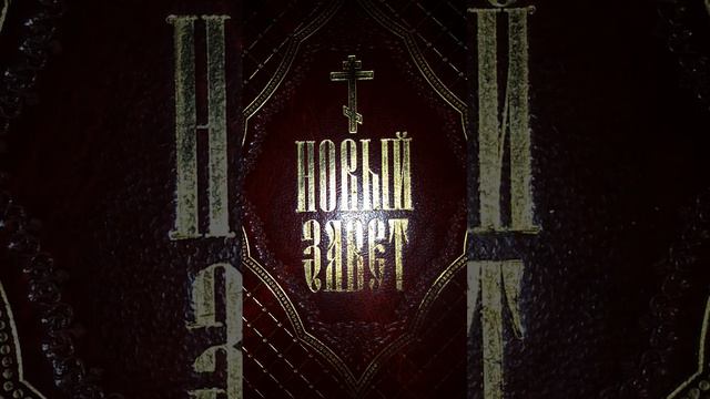 Не убей!Что говорит Закон Божий?? смотреть онлайн