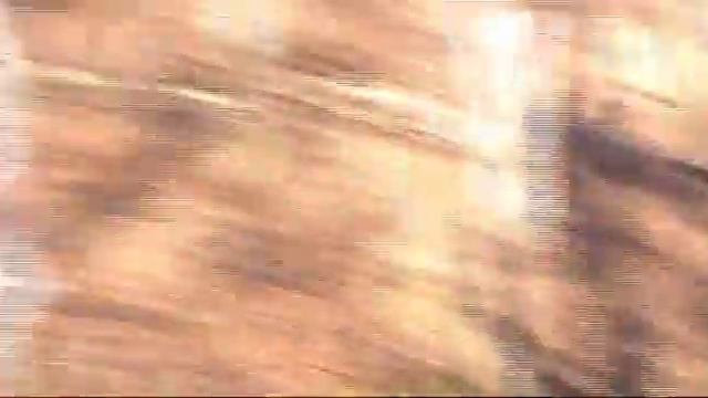 Лесной велоснайпинг 2011 смотреть онлайн