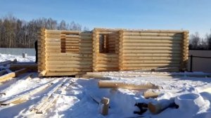 Сборка сруба дома из оцилиндрованного бревна 240 диаметра. Сборка сруба своими руками.