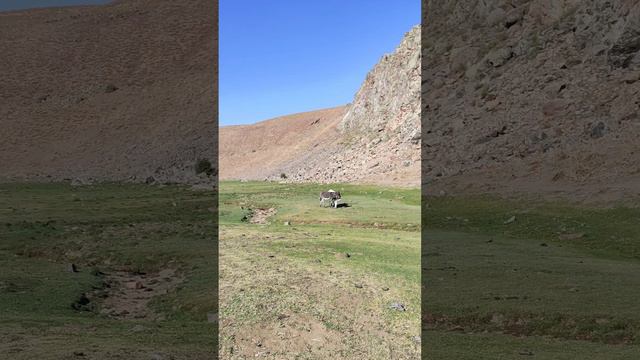 Ангренское плато. День второй. смотреть онлайн