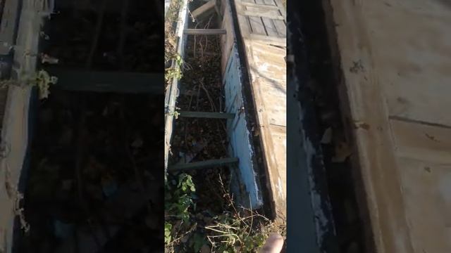 Укрытие инжира.