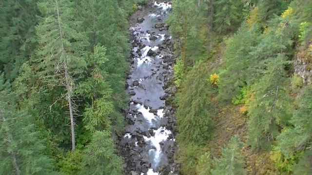 Wind River, USA. Река Ветреная (Ветренная), США (49sp) смотреть онлайн