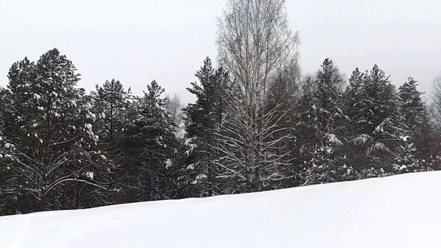 Самое красивое место на реке Ветлуге. Варнавино, Нижегородская область. смотреть онлайн