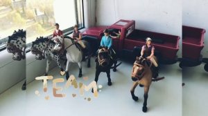 Лошади шляйх соревнования