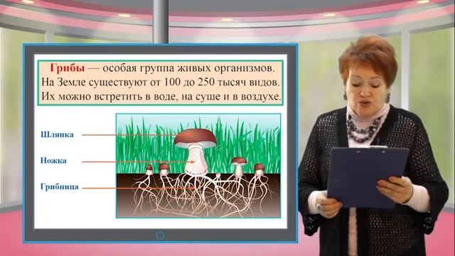 P&W 05 смотреть онлайн