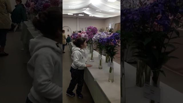 Полина на выставке флоксов смотреть онлайн
