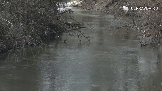 Новое русло. В Ульяновске начали разрабатывать проект по расчистке реки Сельдь смотреть онлайн