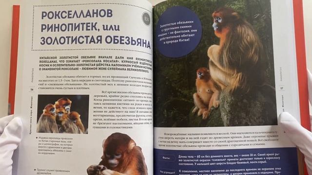 Красная книга мира. Животные смотреть онлайн