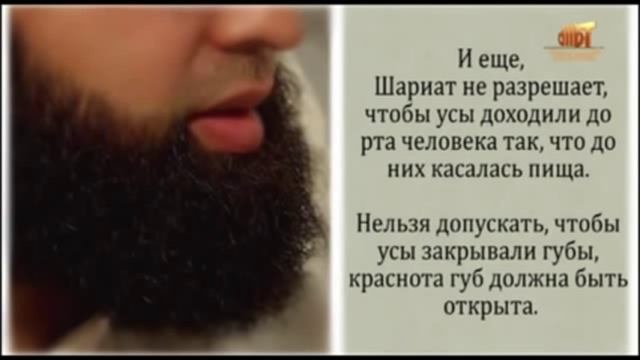 О бороде Абдулгафуриль Мухаммад хаджи смотреть онлайн