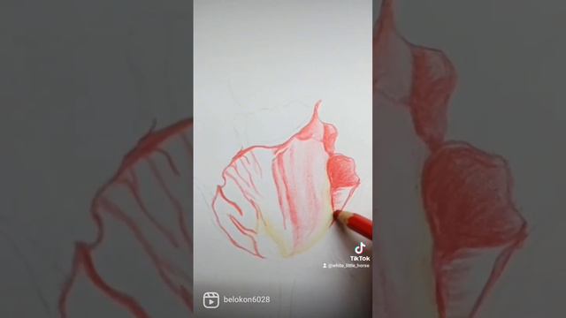 Рисую розу цветными карандашами/ how to drawing a red roses смотреть онлайн