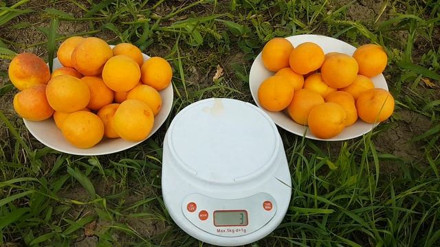 Строительные Вдохновения