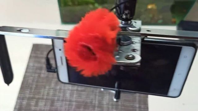 Клетка для телефона. ручной стабилизатор для видео съёмки. смотреть онлайн