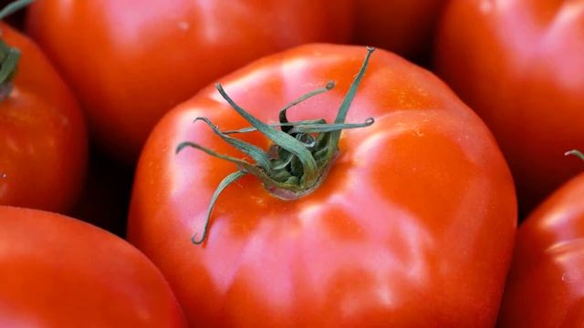 5 Best Vegetarian Restaurants In The Bahamas смотреть онлайн