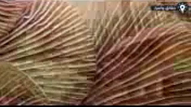 Facts and secrets about industrial products that you did not know by yourself смотреть онлайн