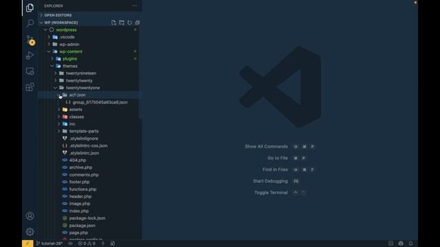 BEST PLUGIN for WordPress Developer - Advanced Custom Fields (ACF) Local JSON | acf local json | E смотреть онлайн