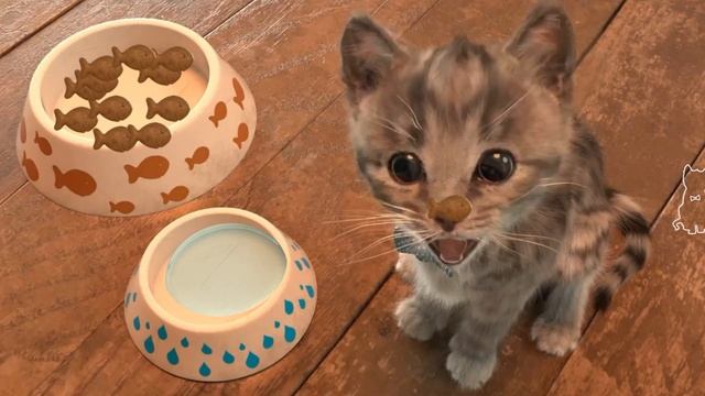 Cute Kitten Little Cat Adventure - Play Fun Pet Care - Preschool Educational Games #903 смотреть онлайн