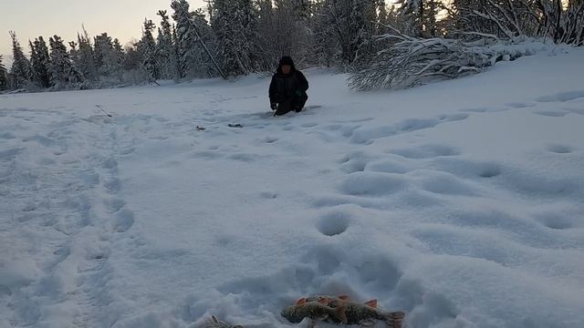 ХОЧЕШЬ ОКУНЯ И ЯЗЯ? НА ПЕРВОЙ РЫБАЛКЕ 23 ВСЕ ЖЕЛАНИЯ РЫБАКОВ СБЫВАЮТЬСЯ НОВОГОДНИЕ ПОДАРКИ ЕТЫ-ПУРА смотреть онлайн