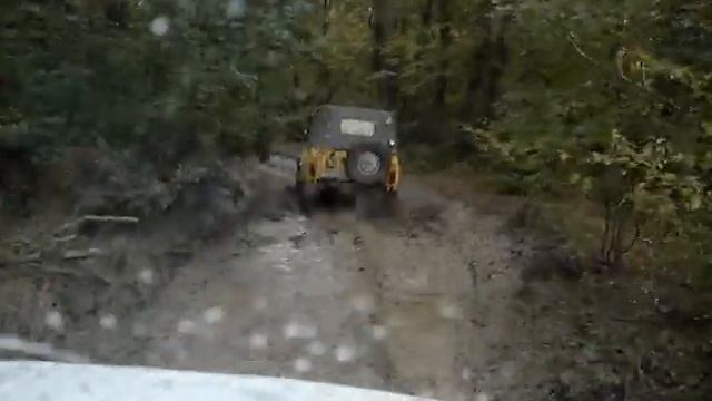 В лес по грибы 2010 смотреть онлайн