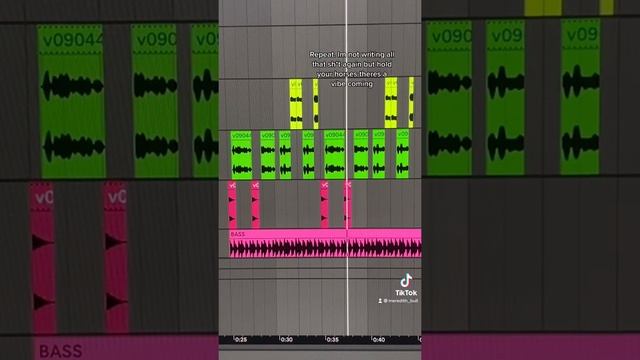Macaroni with the chicken strips. Original Song from TikTok Meredith Bull смотреть онлайн