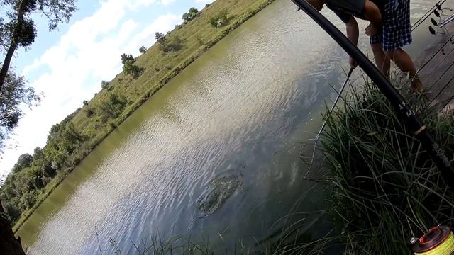 ПОДРЕЗАЛ И ПОНЕСЛОСЬ! САЗАН КАРП АМУР ТОЛСТОЛОБ!рыбалка на карпа. смотреть онлайн