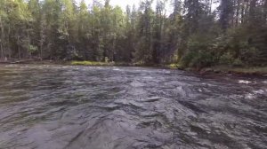 Мотор болотоход с длинным валом. Как мы поднимались по горной реке + горная рыбалка сплавом.