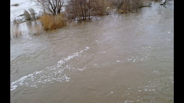 "Примокшанье моё" смотреть онлайн